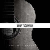 Paisaje de Catamarca - Rosamel Araya