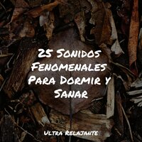 Meditación De Lluvias Calmantes - Sonidos de la Naturaleza Relax & Maestros de música de la meditación & Relajante Música de Piano Oasis
