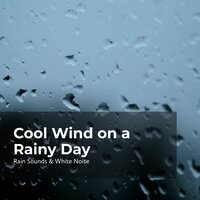 Steady Rain Hurricane - Rain Sounds & White Noise & Raindrops Sleep & Sleep Rain