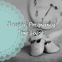 String Quartet No. 14 in D Minor, D. 810 ”Der Tod und Das Mädchen” : II. Andante con moto - Pregnancy Time Lapse Masters & Пётр Ильич Чайковский