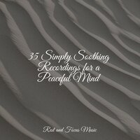 Universe Surf Riding - Meditative Music Guru & Shakuhachi Sakano & Zarobi