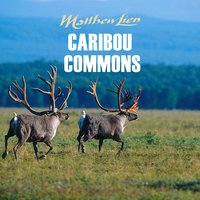 The Land of the Gwich'in - Matthew Lien