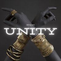 Unity - Beautiful Dizaster & Intalek