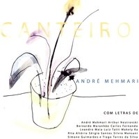 Meia Lágrima - André Mehmari