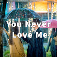 You Never Love Me - Marvin