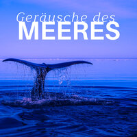 Meditationsmusik - Wellen Akademie