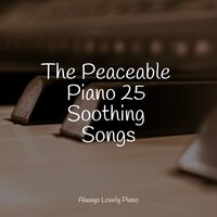 Lovely Escapes - Exam Study Classical Music Orchestra & Baby Sleep Through the Night & Chill Out Music Cafe