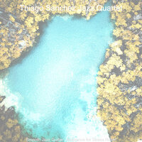 Smooth Jazz Guitar - Ambiance for Sleeping - Thiago Sanchez Jazz Quartet