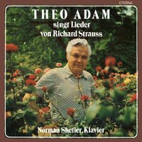 5 Lieder, Op. 41: No. 2. In der Campagna - Norman Shetler & Theo Adam & Рихард Штраус
