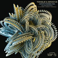 Infinite Possibilities - Tongue & Groove & MandShoua