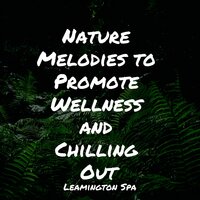 Ocean Waves - Rain Sounds Rain & Masters of Binaurality & Lluvia