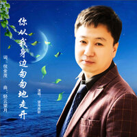 你从我身边匆匆地走开 - 望海高歌
