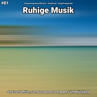 Ruhige Musik Teil 8 - Entspannungsmusik Willi Antz & Schlafmusik & Entspannungsmusik