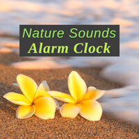 Without Anxiety - NATURE