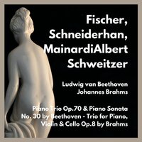 Piano Sonata No.30 in E Major Op.109 : I.Vivace ma non Troppo - Fischer & Mainardi & Schneiderhan & Ludwig van Beethoven