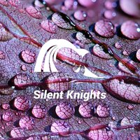 Under the Bridge Rain - Silent Knights
