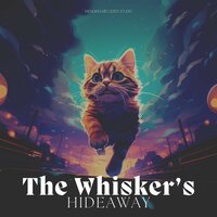 Midnight Cat Commute - Cats Music Zone