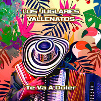 Sin Son Ni Ton - Los Juglares Vallenatos