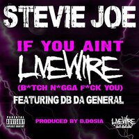 If You Ain't Livewire (Bitch Nigga Fuck You) - Stevie Joe & DB Da General