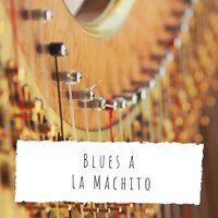 Wild Jungle - Machito & His Afro-Cubans