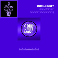 Valiant (Interlude) - Domineeky