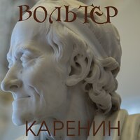 Каренин И.М.. «Вольтер». Часть 11 - Вячеслав Манылов