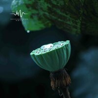 韶华洗泪 - 林中意