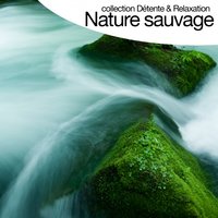 Matin sur les tropiques - Relaxation Big Band