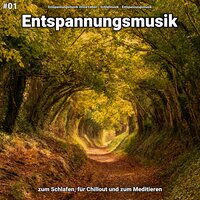 Entspannungsmusik pt. 68 - Entspannungsmusik Olivia Lehen & Schlafmusik & Entspannungsmusik