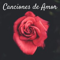 Sanar el Alma - Chansons d'amour