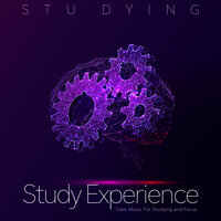 Study Music - Stu Dying