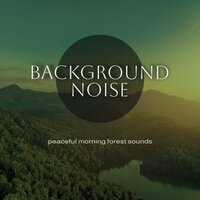 Peaceful Morning Forest Sounds, Pt. 17 - Thomas O'Reilly