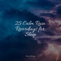 Rainy Roads - Sound of Rain & Spa & Spa & Relaxing Mindfulness Meditation Relaxation Maestro