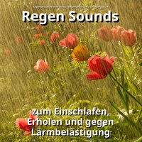 Natürliche Geräusche zur Erholung - Regengeräusche ohne Musik & Regengeräusche & Naturgeräusche