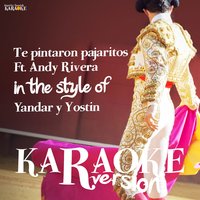 Te Pintaron Pajaritos Ft. Andy Rivera (In the Style of Yandar Y Yostin) - Ameritz Spanish Karaoke