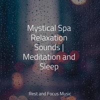 Harmonious Discord - Guided Meditation Music Zone & Massage Music & Native American Flute