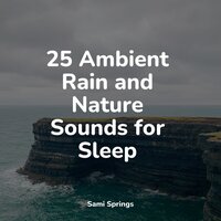 Heavy Ocean Waves - Lullabies for Deep Meditation & Kinderlieder Megastars & Nature Sounds Radio