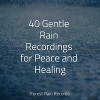 Ocean Waves and Seagulls Overhead - Nature Sounds Radio & meditacou musica ambiente & Spa Music Relaxation
