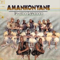 Sashayizizwe - Amankonyane