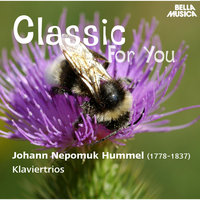 Klaviertrio in F Major, Op. 22, No. 3: II. Andante von Variazioni - Ivan Gajan & Viktor Simcisko & Juraj Alexander & Иоган Непомук Гуммель