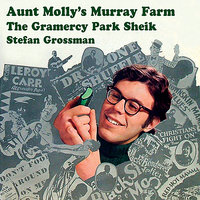Cross Eyed Blues (The Gramercy Park Sheik) - Stefan Grossman