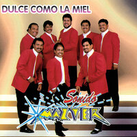 Déjame Sentirte - Sonido Mazter