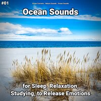 Ocean Sounds Pt. 39 - Ocean Currents & Nature Sounds & Ocean Sounds