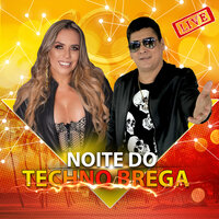 Noite do Techno Melody 01 (Techno Brega 01) - Fruto Sensual
