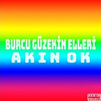 Burcu Güzekin Elleri - Akın  Ok