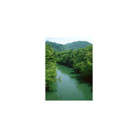 Forever and Sensitivity - Mindfulness Healing Sleep BGM Project