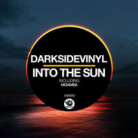 Into The Sun - Darksidevinyl