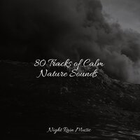 Stormy, Rainy Night - Rain Sounds & White Noise & Nature Sound Collection & Relaxation
