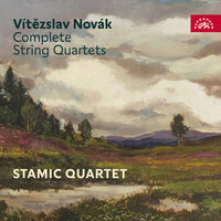 String Quartet No. 1 in G Major, Op. 22: II. Scherzo. Allegro comodo - Stamic Quartet