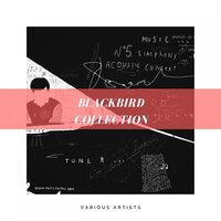 Bye Bye Blackbird - Miles Davis Quintet